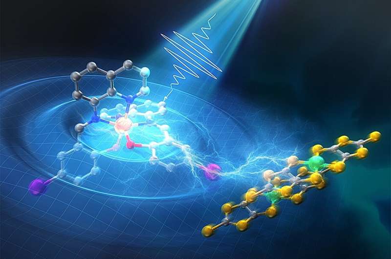 Observation of photoinduced ultrafast dynamics in a halogen-bonded supramolecular system