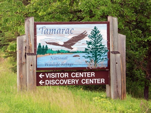 a sign with an eagle and a pine tree