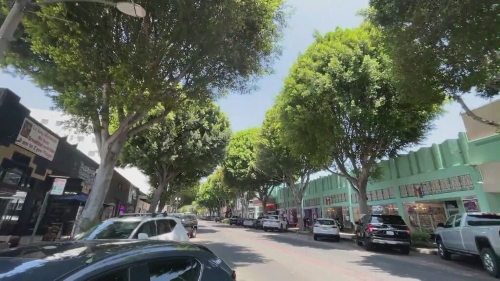 Whittier residents were outraged over the plan to remove ficus trees in the historic district